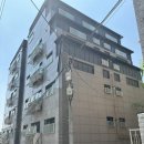 프리메라1 이미지