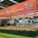 365문구할인마트