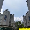 에코르아파트 앞 이미지