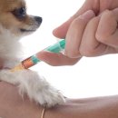 구자동동물병원 이미지