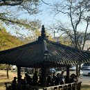 담빛음악당 무료 영화 상영 이미지