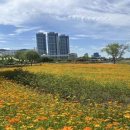 낙동강관리본부 화명생태공원 10 이미지