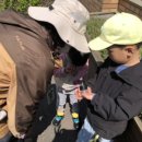 대명초병설유치원 이미지