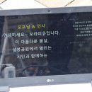 시민과 함께 하는 | 260411 시민과 함께하는 벚꽃 버스킹 후기 (보라미유)