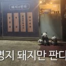 돼지만판다 이미지