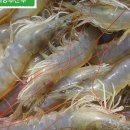 바다수산 이미지