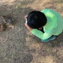 오리이야기 이미지