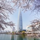서울 벚꽃 명소 추천! 송파구 석촌호수 벚꽃축제 100배 즐기기