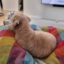 멍품유치원 이미지