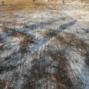 세븐일레븐 안기점 | 행복한 하루의 연속 우당탕 제주여행(4)