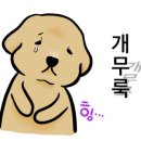 강아지톡 이미지