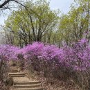 서초포레스타6단지 | 강남과 자연을 품은 내곡동 서초더샵포레, 포레스타 2단지, 6단지 전격 비교 분석