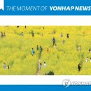 모멘트