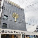 보나트리 호텔 | 부산 광안리 숙소 보나트리호텔 스탠다드 더블룸 주말 후기 (예약꿀팁)