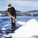 배성식품 이미지