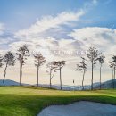 스톤게이트골프장 이미지