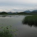 돈지존