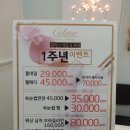 네일셀리나