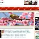 매일관광주식회사 이미지