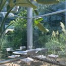 어반플랜트 수영 이미지