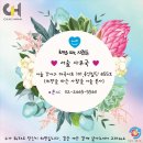 대전광역시평송청소년문화센터(대극장) 이미지