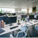 주식회사부동산중개법인체크 이미지