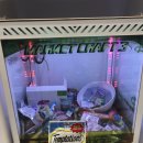 365채움한의원 이미지