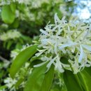 장군산 둘레길 이미지