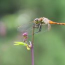 마음의 문 이미지