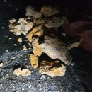 회사식당 - 5793 | 회사식당