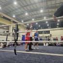 동암 팀타이거 복싱짐 이미지