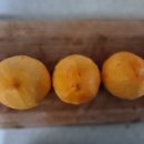 삼인농장 이미지