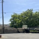 까치식당 | 경주맛집 돼지찌개 맛집 까치식당 솔직후기!