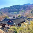 시와 예술 따라 걷는 종로 산책 코스! 무계원~윤동주문학관~청운문학도서관