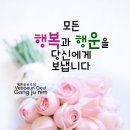 얼굴에 상처가~~ 이미지