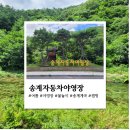 월악산국립공원 송계자동차야영장 | 월악산 국립공원 송계 자동차 야영장 여름 물놀이 추천
