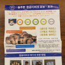 푸른솔할인마트 이미지