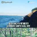 바다좋은 이미지