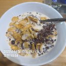 가덕리(마을입구)야외운동기구 | 어머님이랑 너무 좋았던 파주 헤이리마을 나들이, 옛날 감성 한국근현대사박물관, 볼거리 너무 많은...