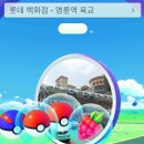 명륜체육관 이미지