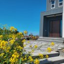 소랑애월 이미지