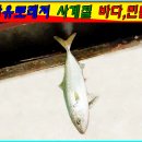 자유로 레저 이미지