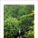 남양광장 이미지