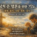 용서농장 Daum카페