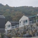 다원포레스트독채펜션 이미지