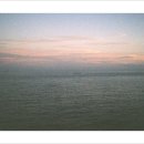 서해안로 이미지