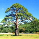 대경슈퍼 이미지