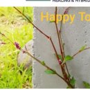 건축사사무소예담 이미지