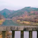 횡성 별빛마을 캠핑장