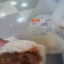 짜오바오 이미지